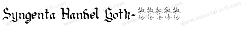Syngenta Handel Goth字体转换